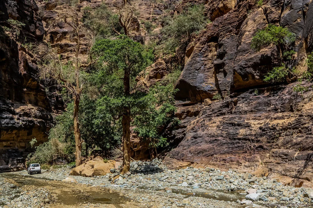 Wadi Lajab, Arabie saoudite