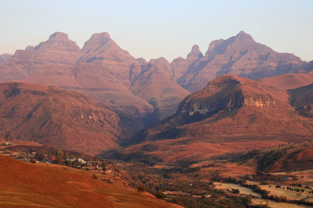 Monk's Cowl, Afrique du Sud