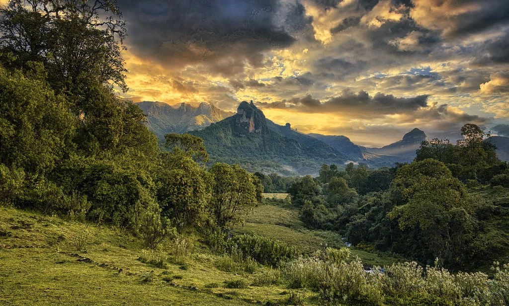 Parc national du Mont Balé, Éthiopie