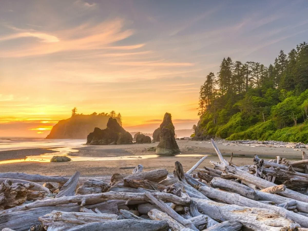 Parc national Olympique, États-Unis