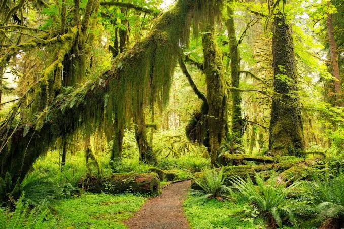 Parc national Olympique, États-Unis