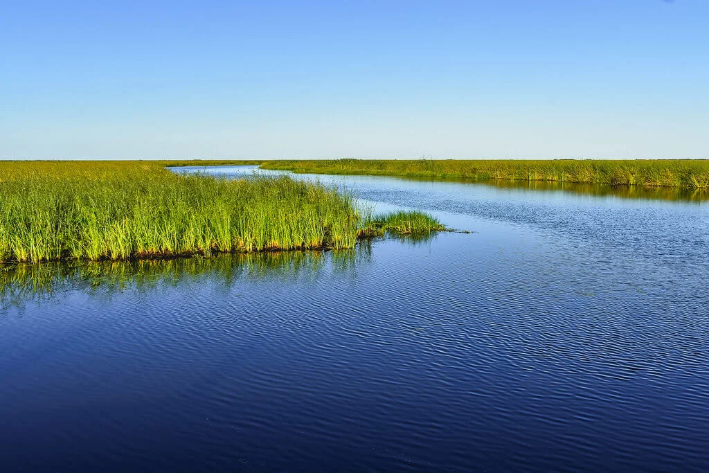 Parc national Ibera, Argentine