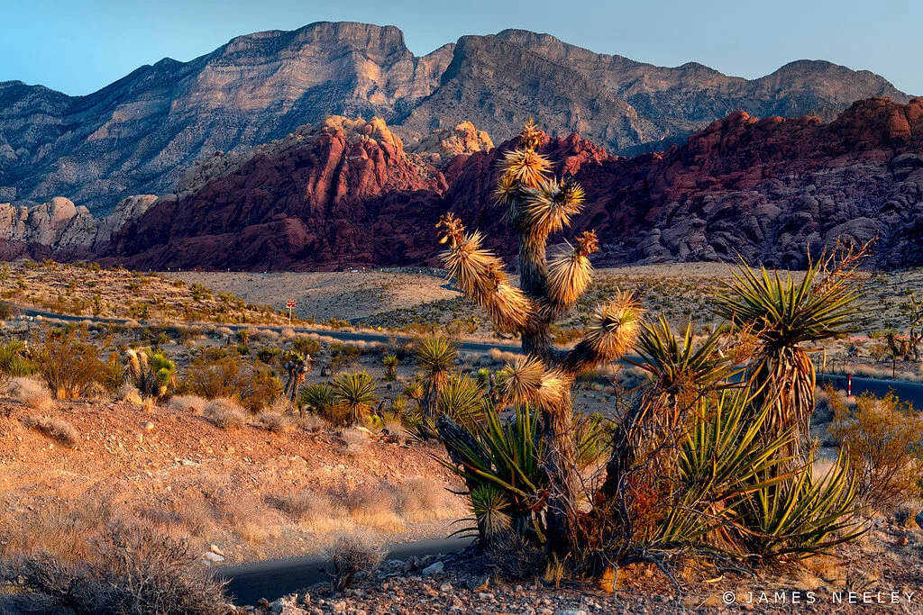 Red Rock Canyon, États-Unis