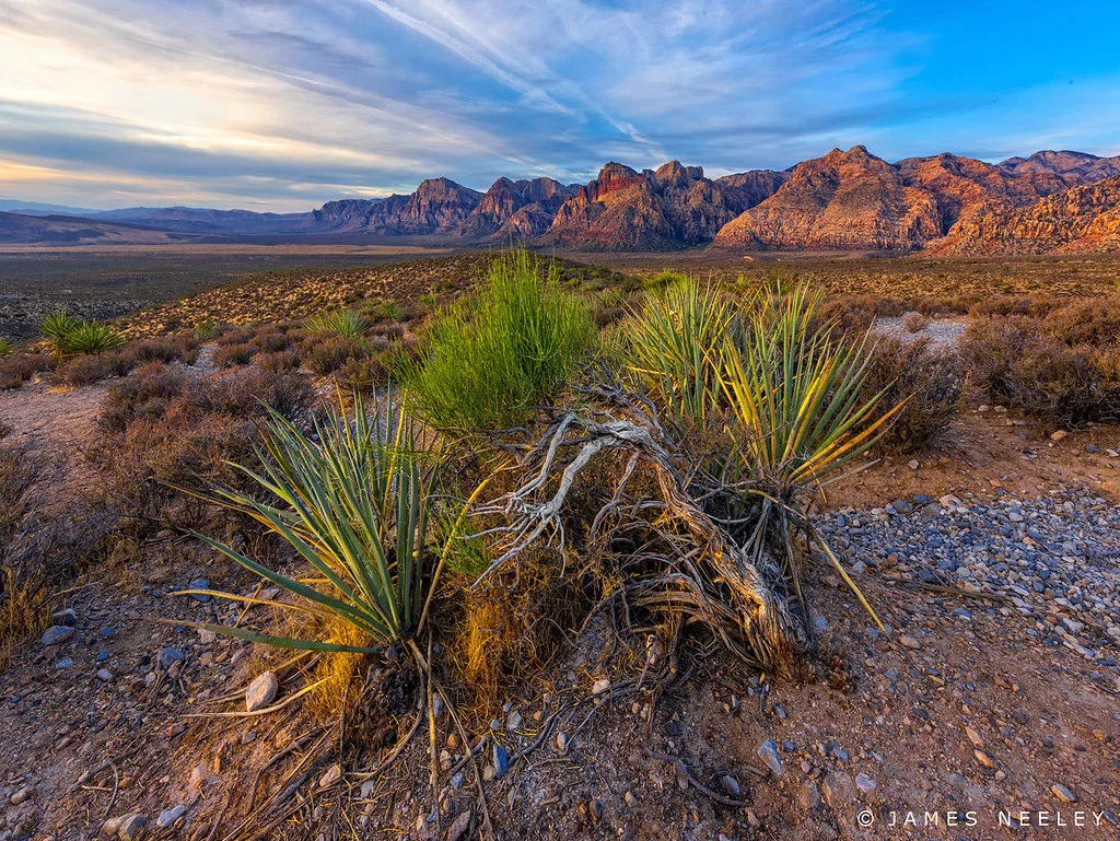 Red Rock Canyon, États-Unis