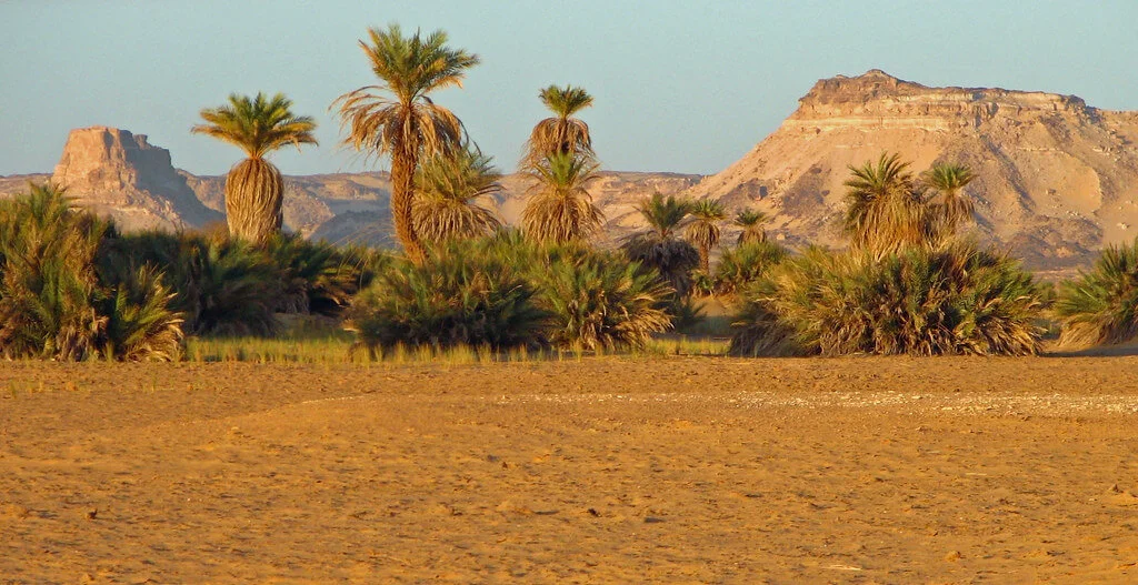 Grand Erg de Bilma, Niger