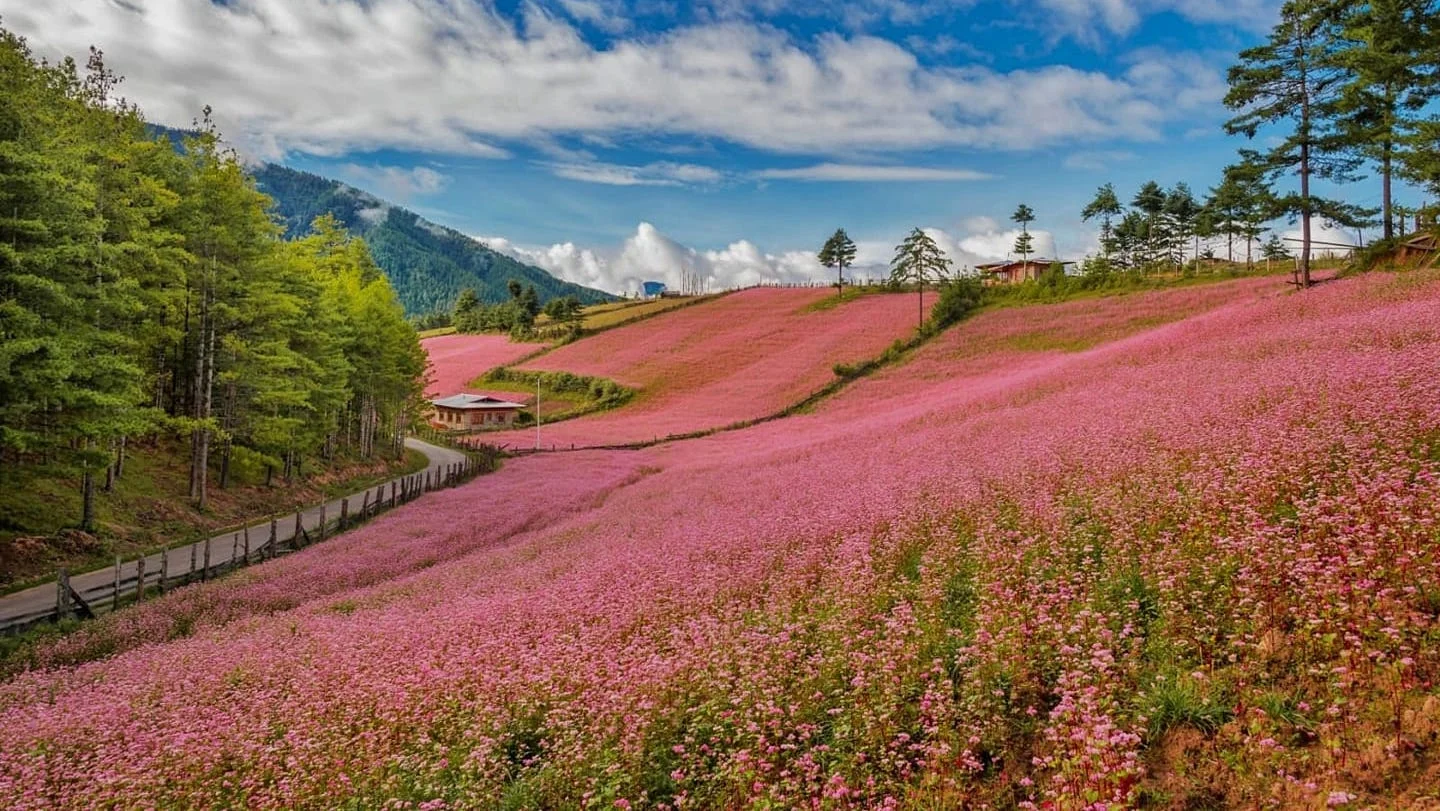 Tang Valley, Bhoutan