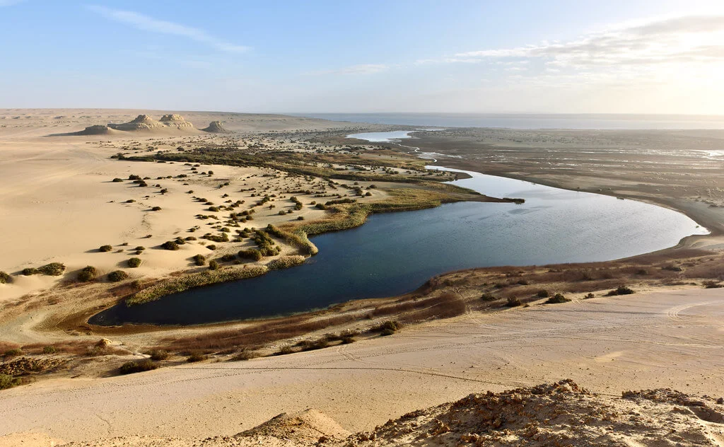 Wadi El Rayan, Égypte