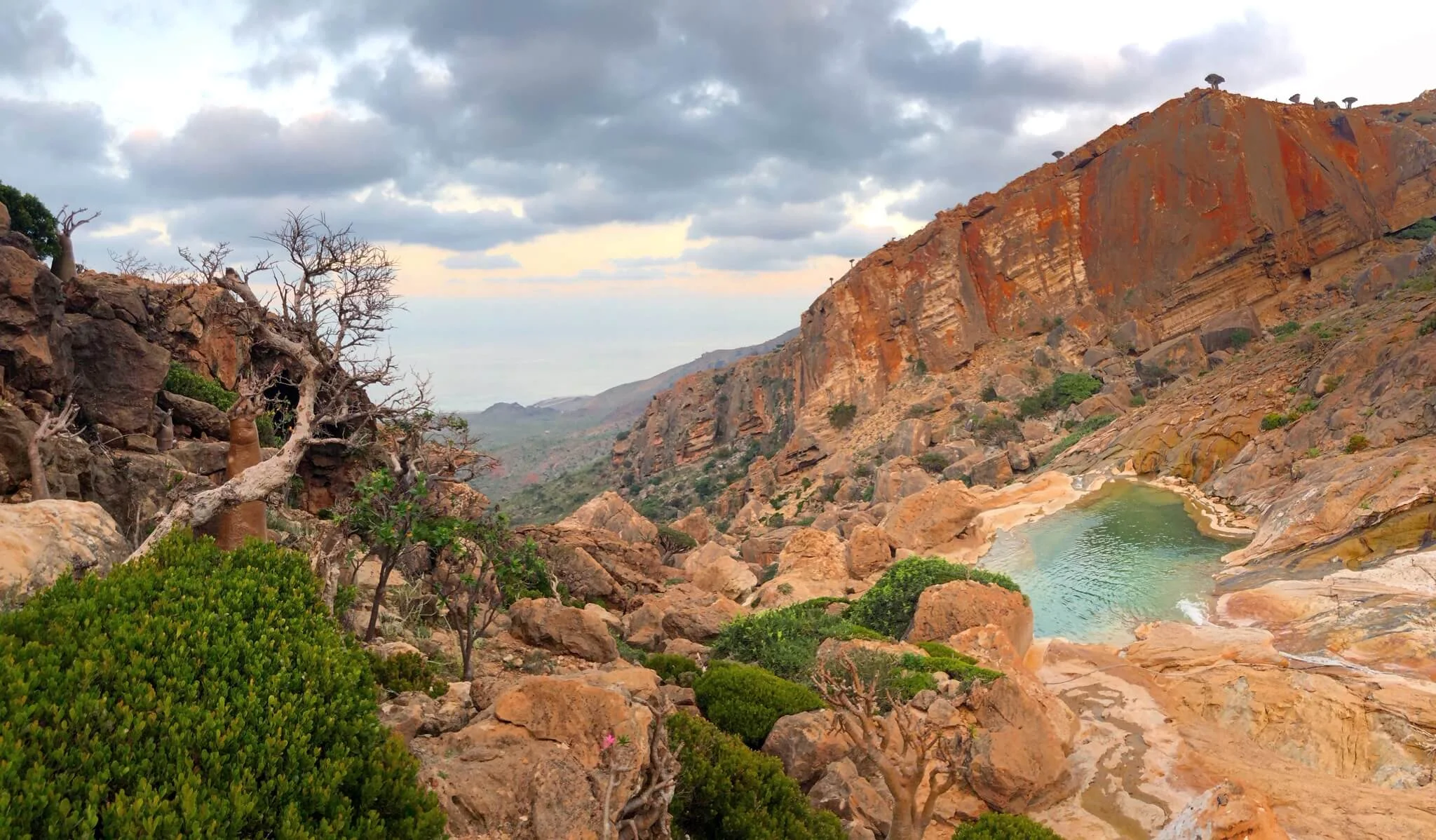  Homhil Swimming Pool, Yémen, Socotra