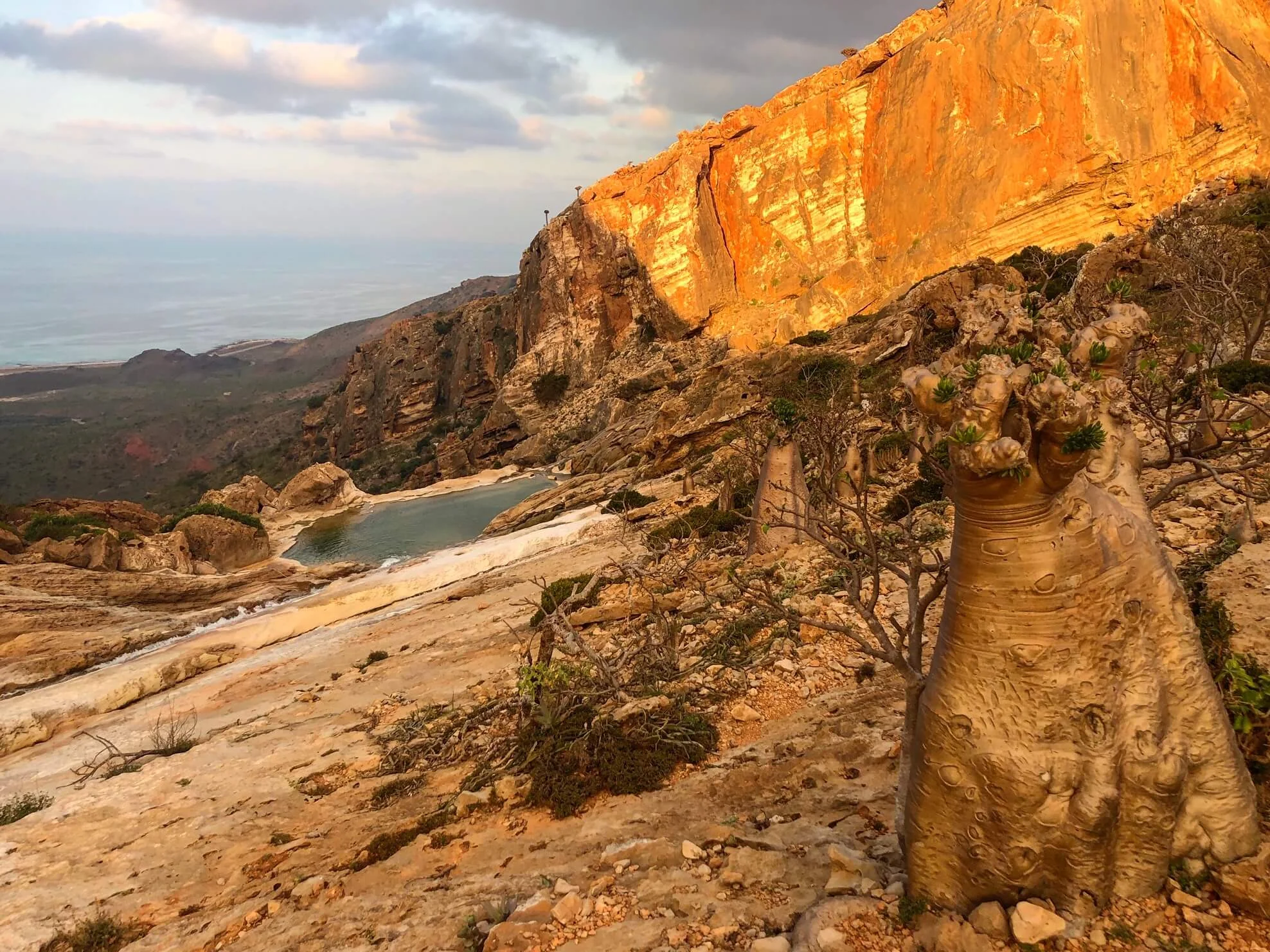  Homhil Swimming Pool, Yémen, Socotra