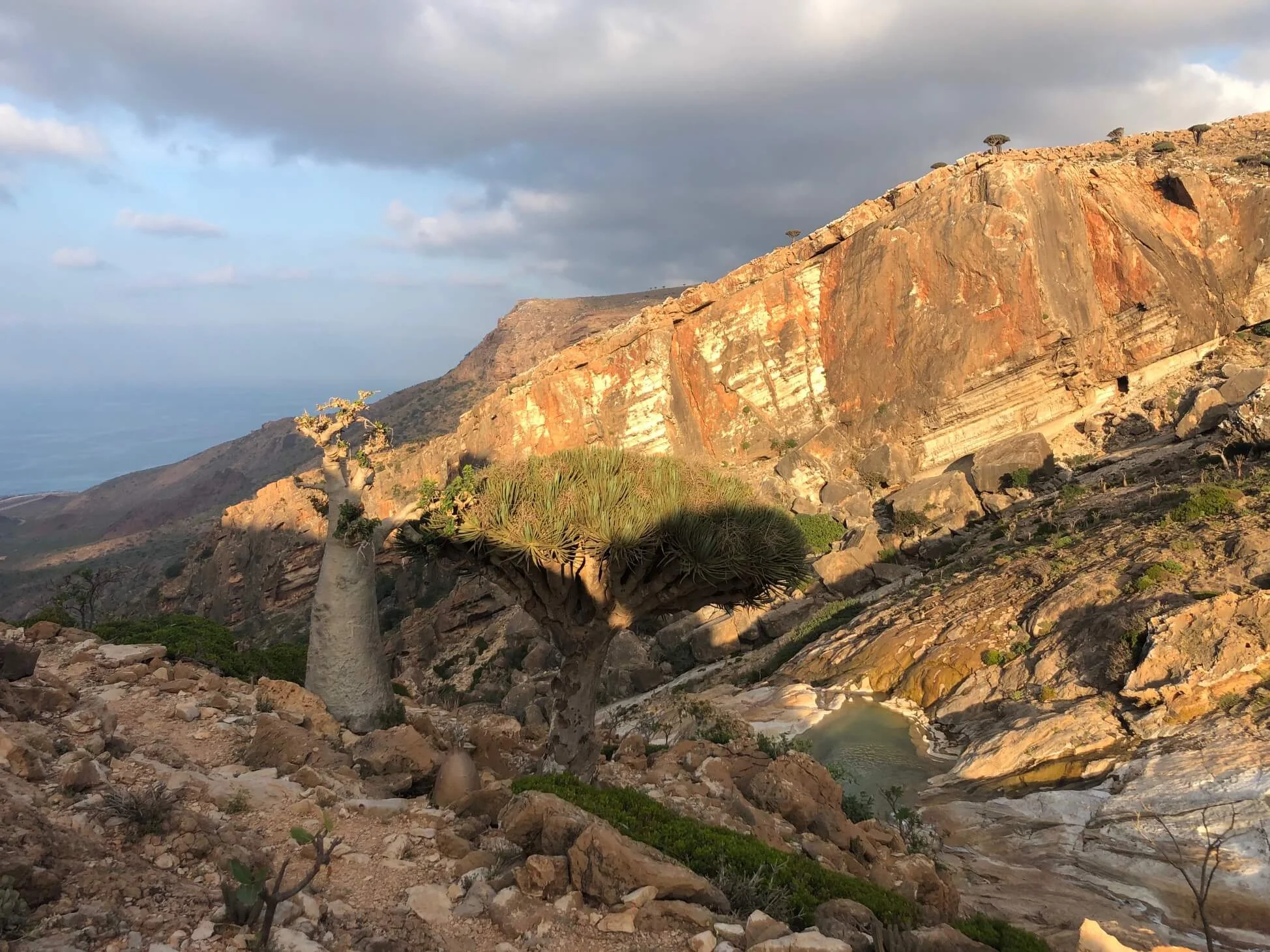  Homhil Swimming Pool, Yémen, Socotra