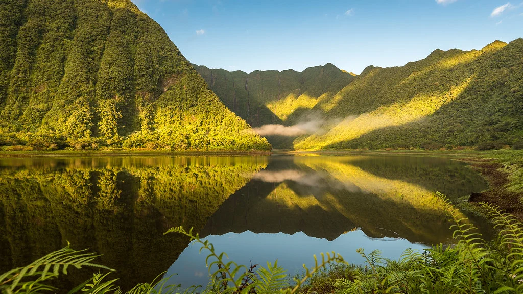 Grand Étang, La Réunion