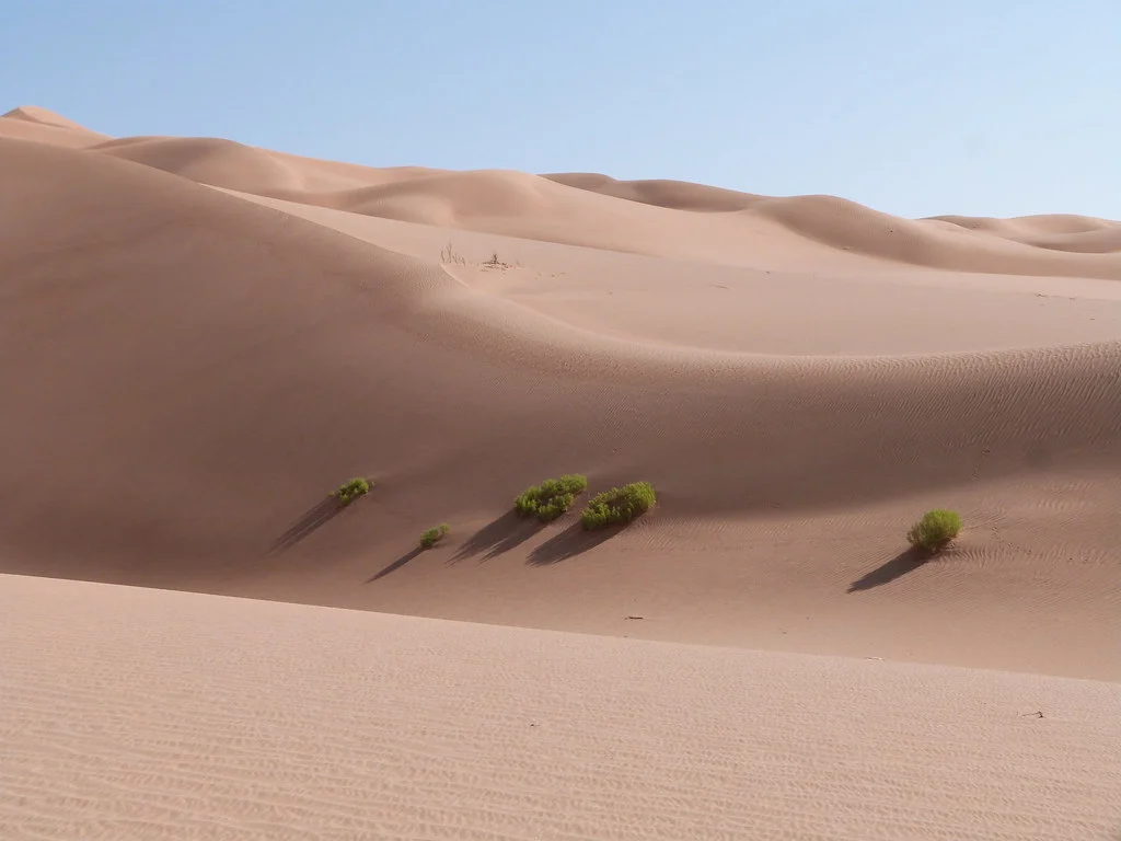 Rub al-Khali, Arabie saoudite