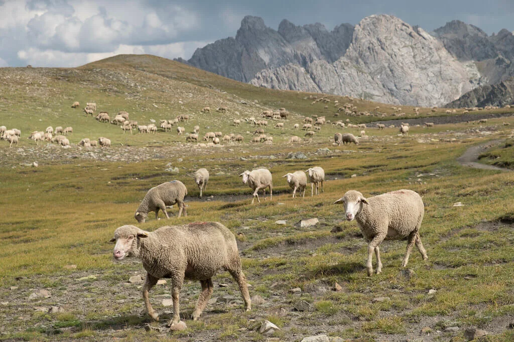 Vallée de la Clarée, France