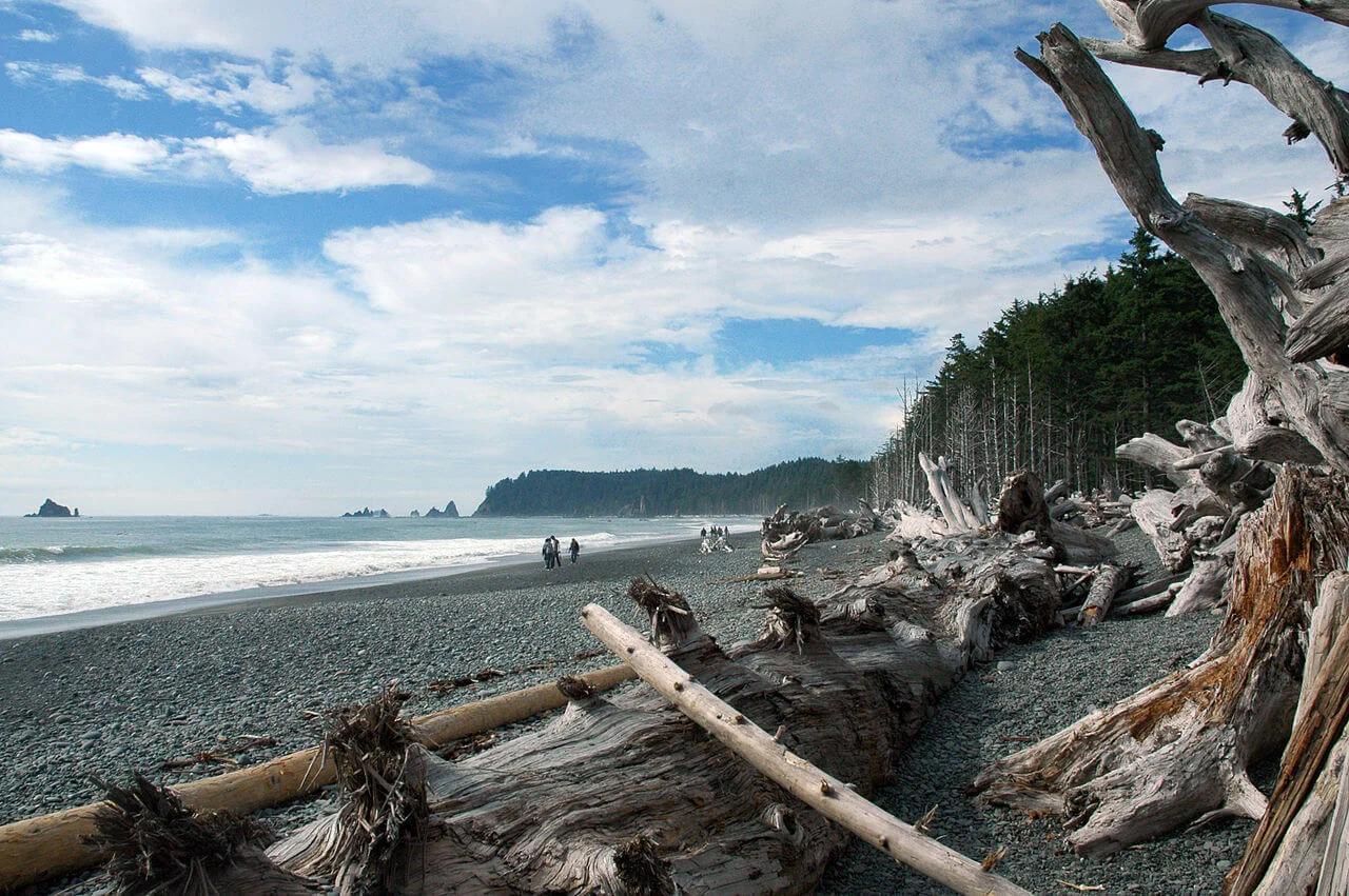 Rialto Beach, États-Unis