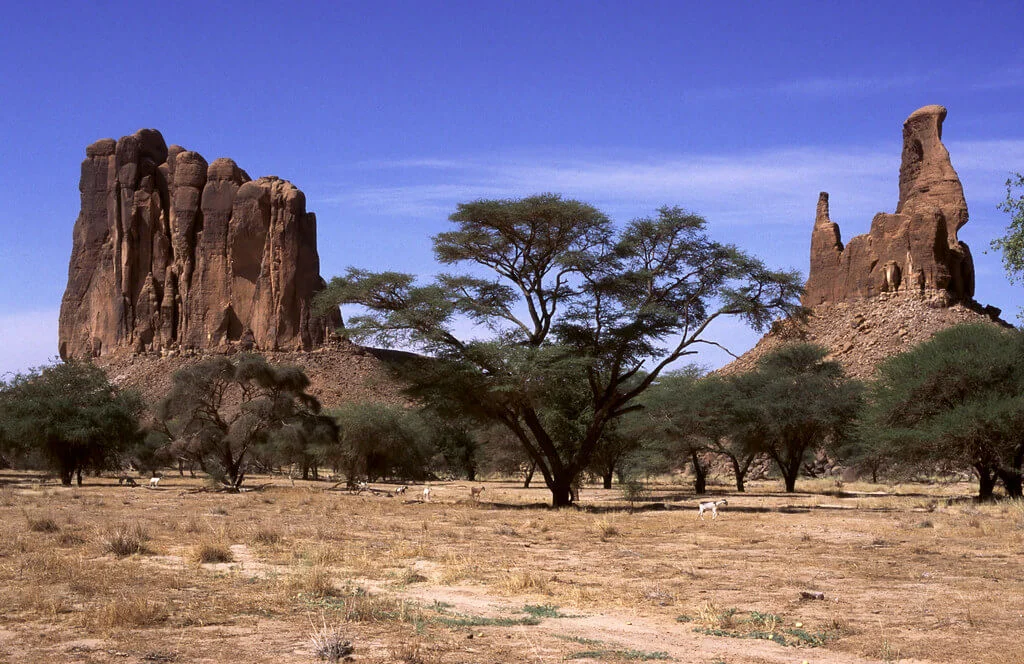 Arche de Djoulia, Tchad