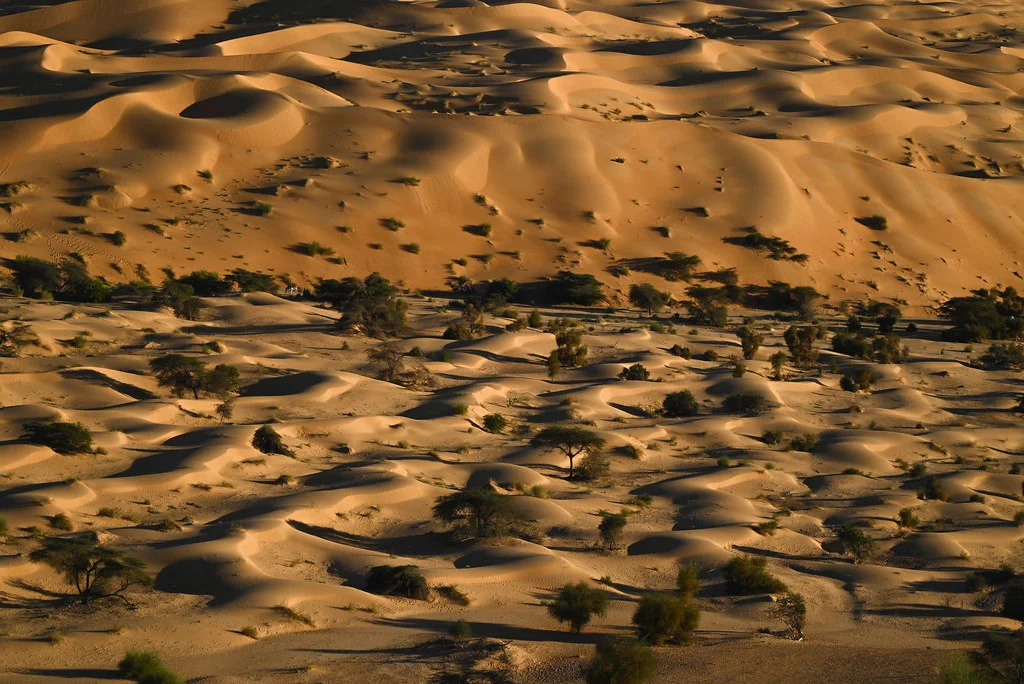Vallée Blanche (Mauritanie), Mauritanie