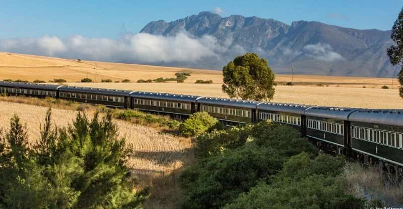 Pride of Africa, Afrique du Sud, Afrique du Sud, Afrique du Sud, Afrique du Sud, Afrique du Sud, Zimbabwe, Zimbabwe, Zambie, Zambie, Zambie, Zambie, Tanzanie, Tanzanie, Tanzanie, Tanzanie
