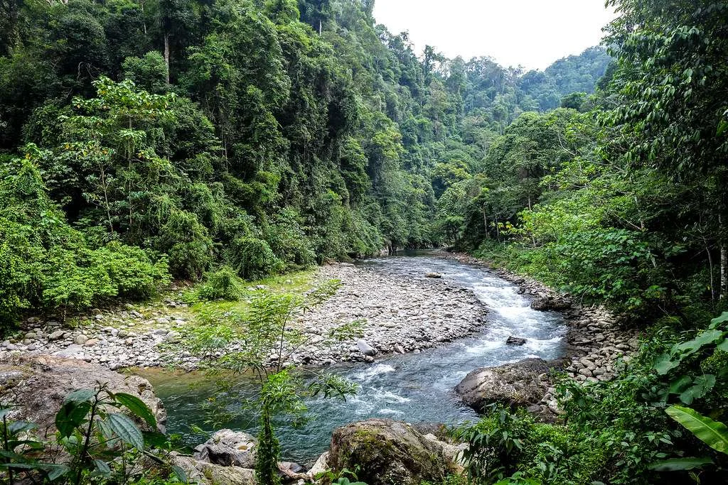 Parc national de Gunung Leuser, Indonésie