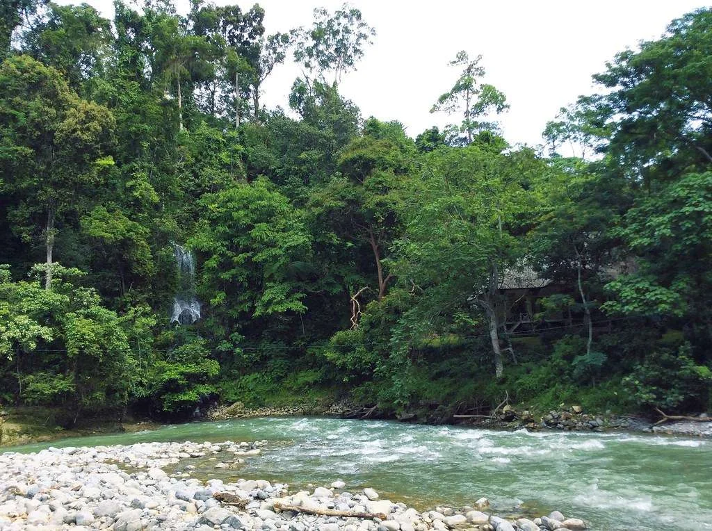 Parc national de Gunung Leuser, Indonésie