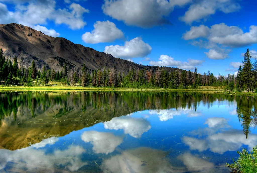 Monts White Cloud, États-Unis