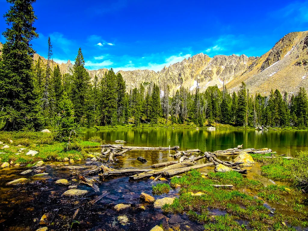Monts White Cloud, États-Unis