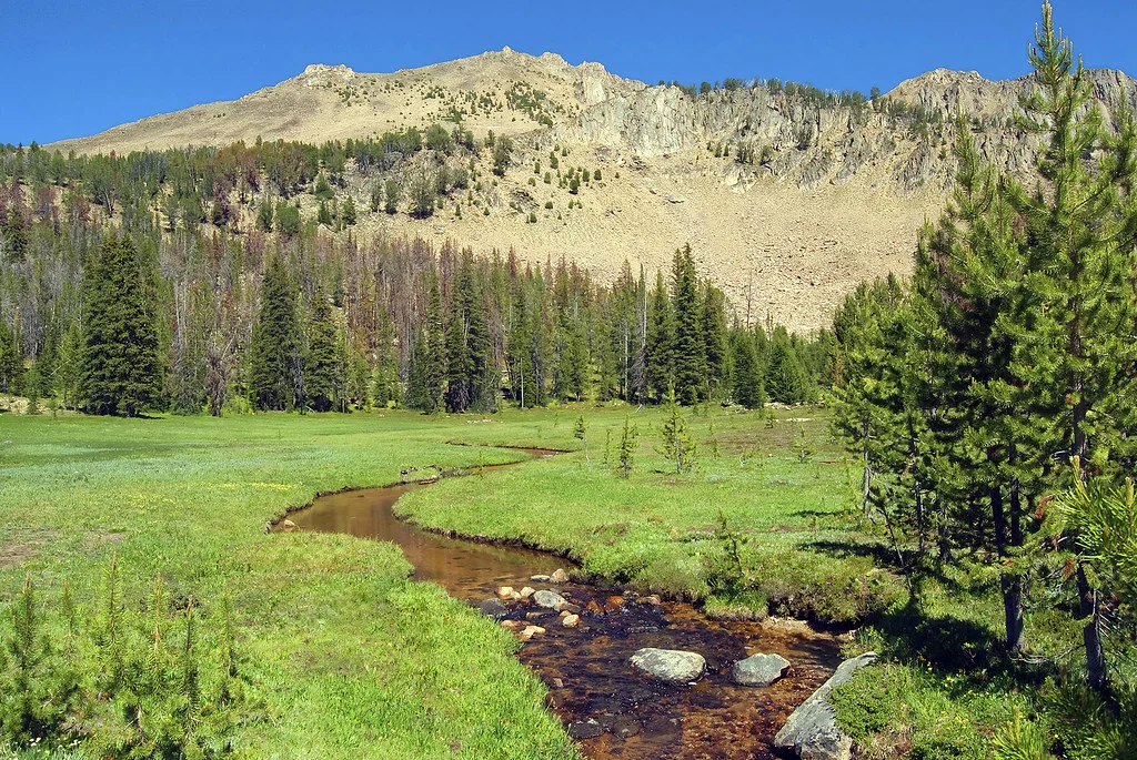 Monts White Cloud, États-Unis
