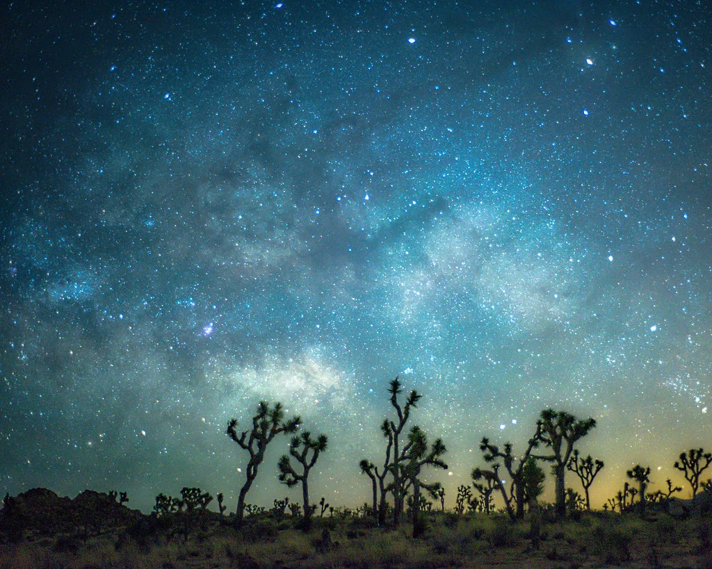 Parc national de Joshua Tree, États-Unis
