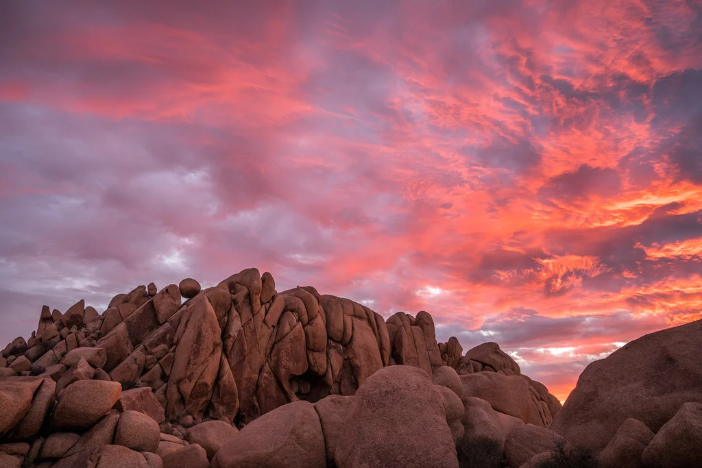 Parc national de Joshua Tree, États-Unis