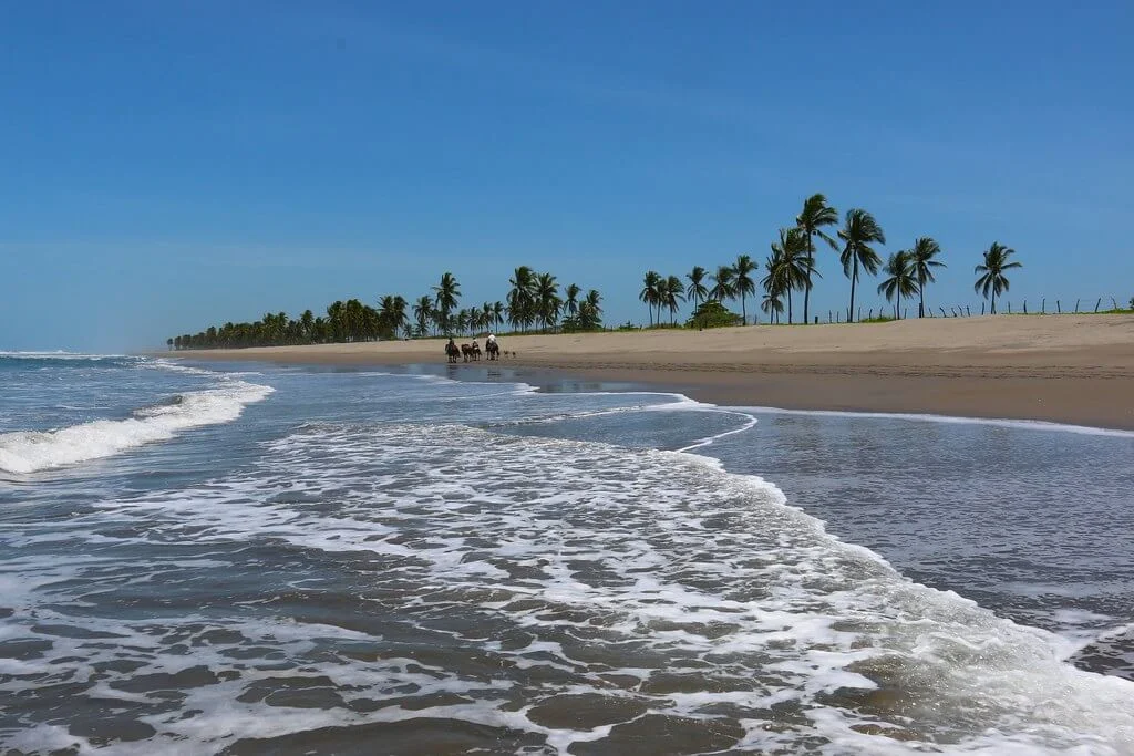 Baie de Jiquilisco, Salvador