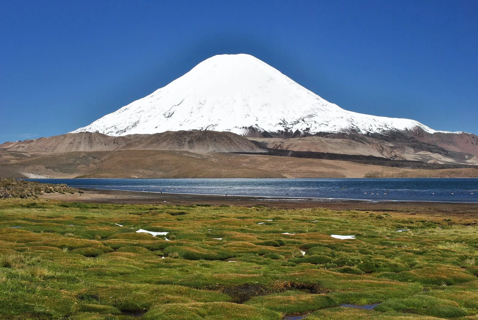 Parinacota, Chili, Bolivie