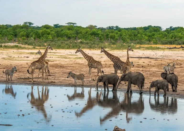 Parc national de Matusadona, Zimbabwe
