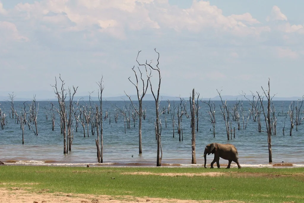 Parc national de Matusadona, Zimbabwe