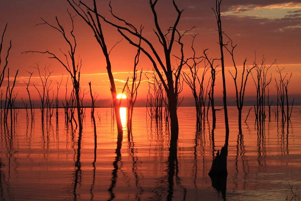 Parc national de Matusadona, Zimbabwe
