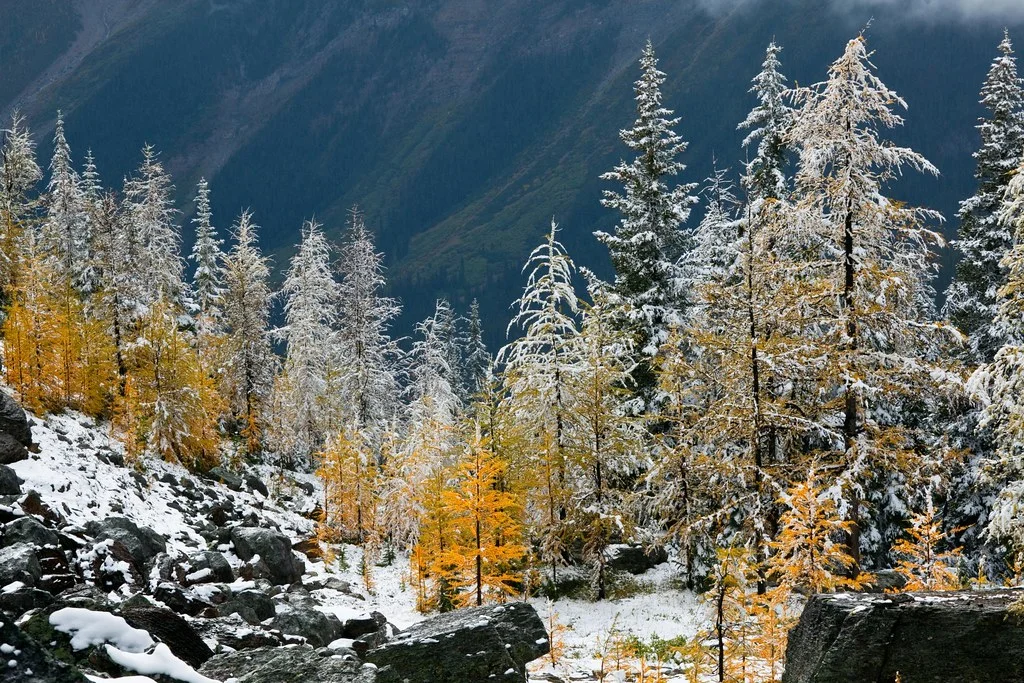 Mount Schaffer, Canada