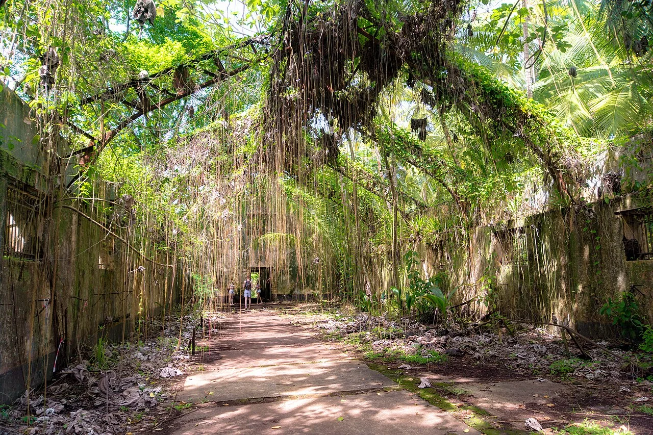 Îles du Salut, Guyane française