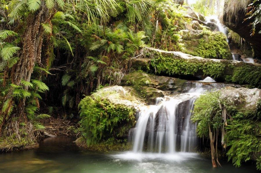 Parc national de l'Isalo, Madagascar