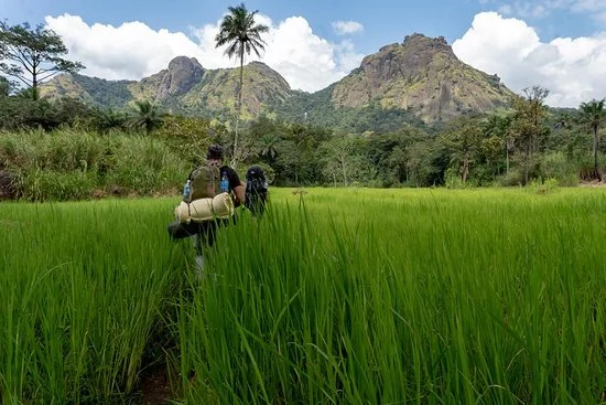 Sankan Biriwa, Sierra Leone