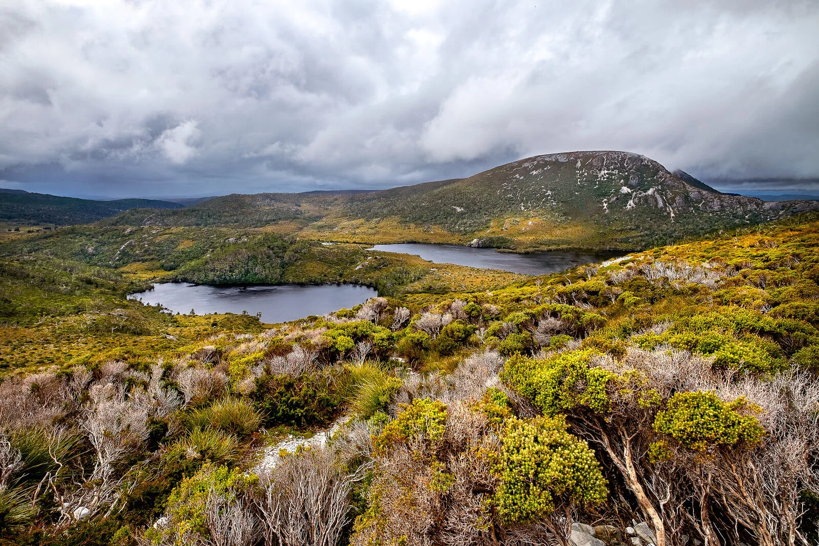 Overland Track, Australie, Tasmanie