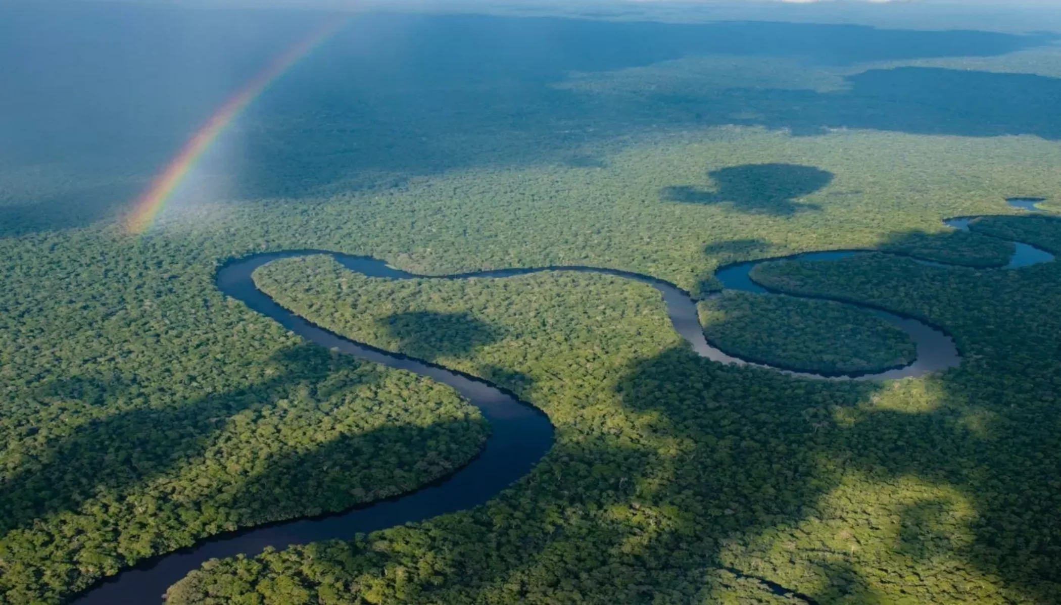 Parc national de la Salonga, République démocratique du Congo