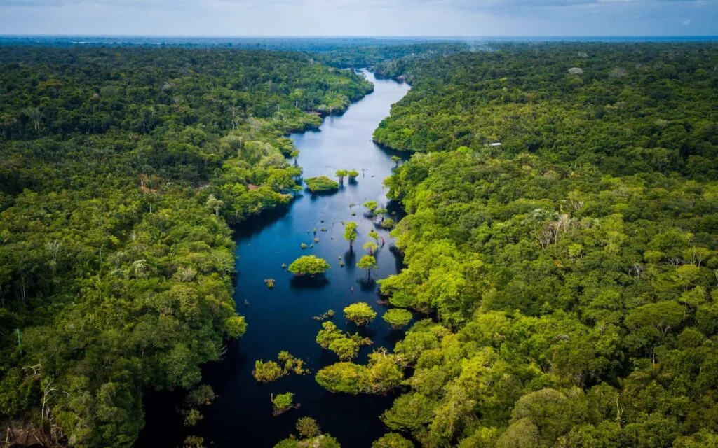 Parc national de la Salonga, République démocratique du Congo
