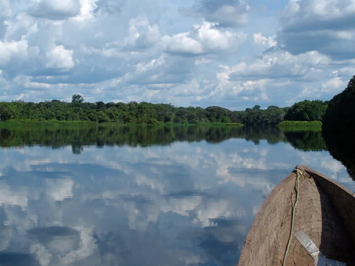 Parc national de la Salonga, République démocratique du Congo