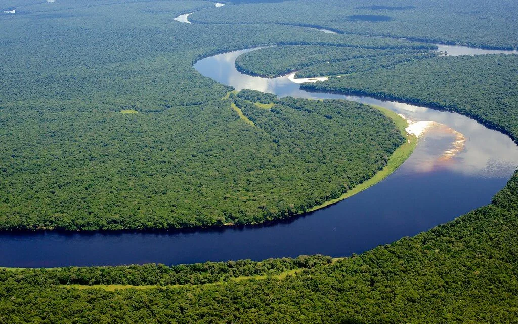 Parc national de la Salonga, République démocratique du Congo
