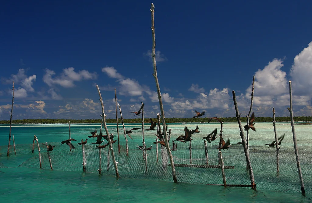 Mataiva, Polynésie française