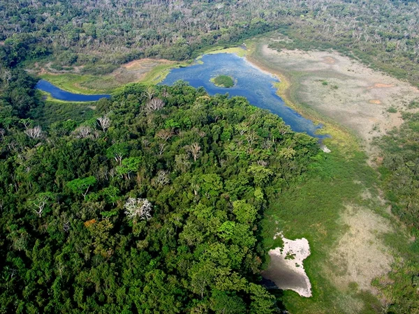 Réserve de biosphère Maya, Guatemala