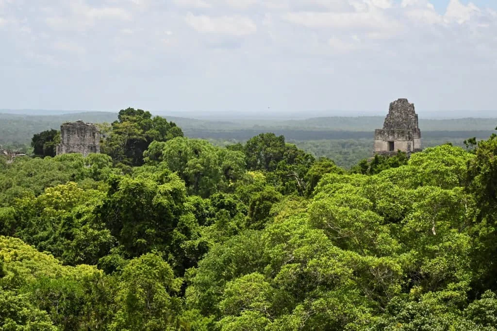 Réserve de biosphère Maya, Guatemala