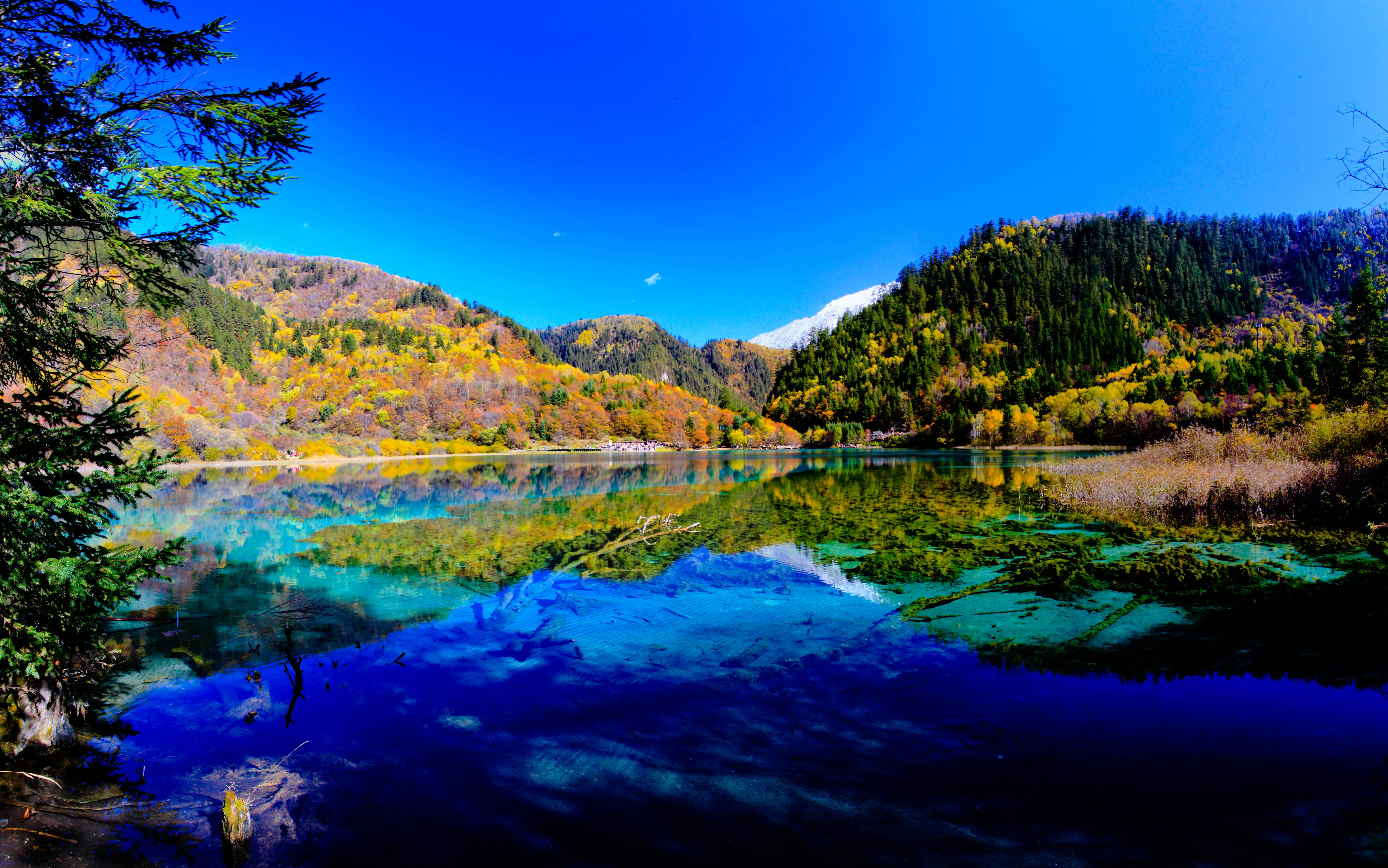 Vallée de Jiuzhaigou, Chine