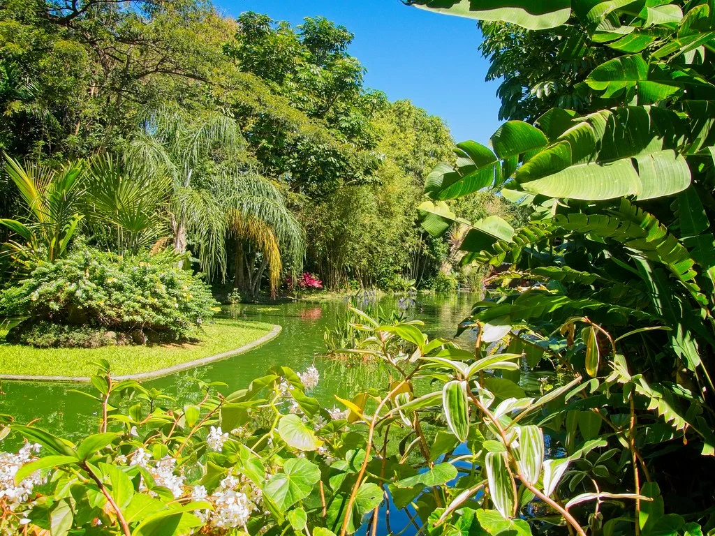 Jardin Botanique de Deshaies, Guadeloupe
