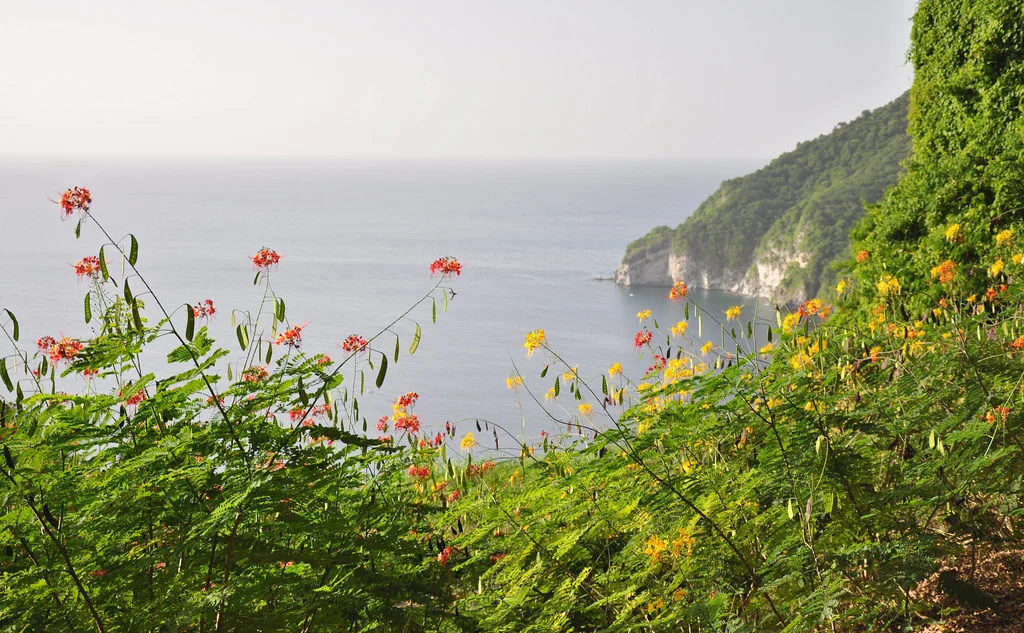 Jardin Botanique de Deshaies, Guadeloupe