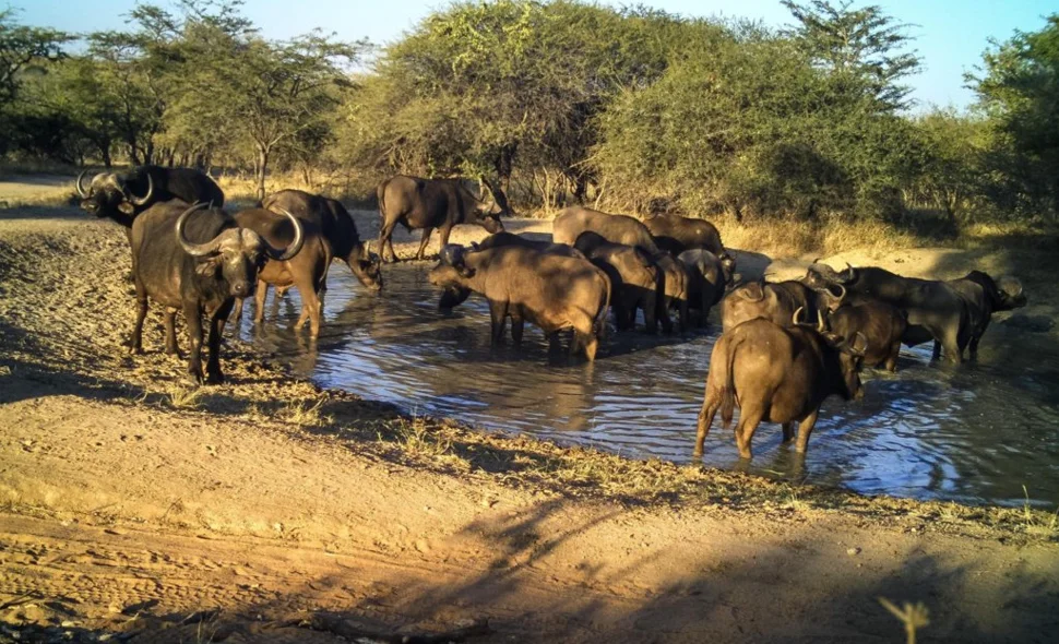 Parc national de Chizarira, Zimbabwe