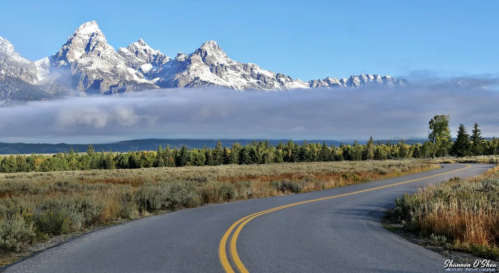 Teton Park Road, États-Unis